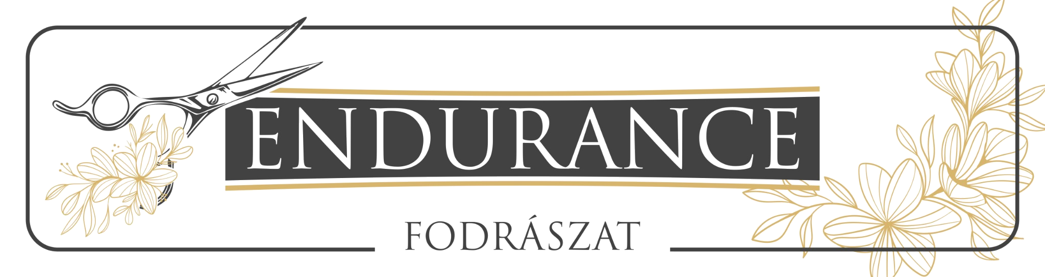 Endurance logo
